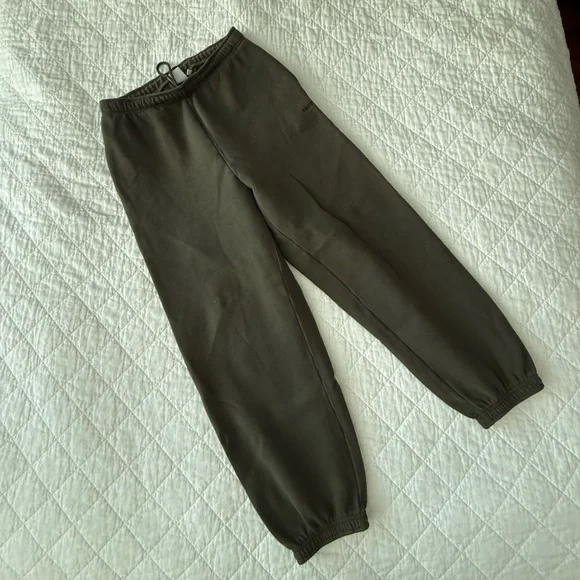 2pc Aritzia Cozy Sweatfleece Olive Green Mega Raglan Hoodie and Mega Jogger Set - Picture 13 of 15